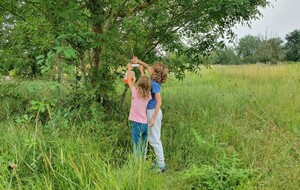 Les animations estivales 2021