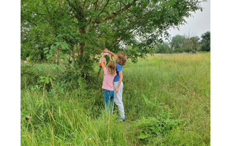 Les animations estivales 2021