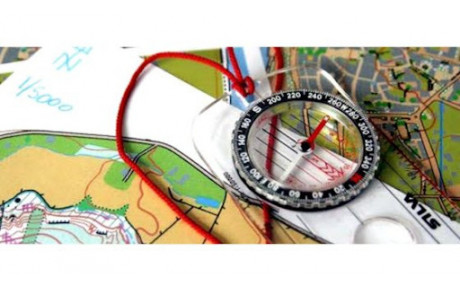 Courses régionales à Toul